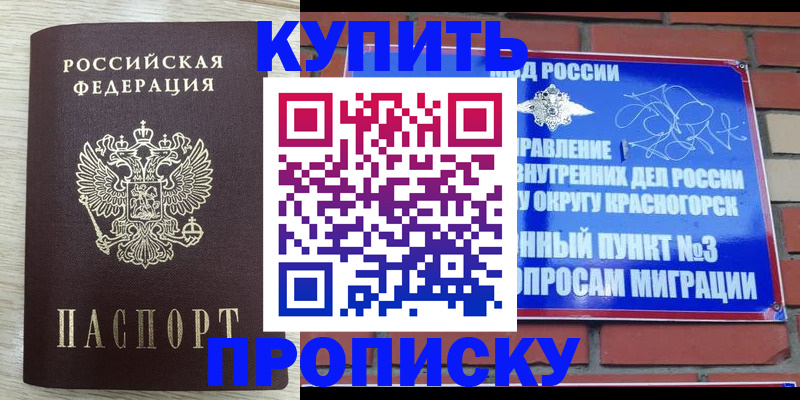 прописка гарантия в Сураже